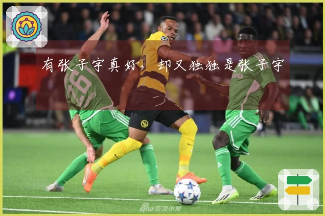 有张子宇真好，却又独独是张子宇