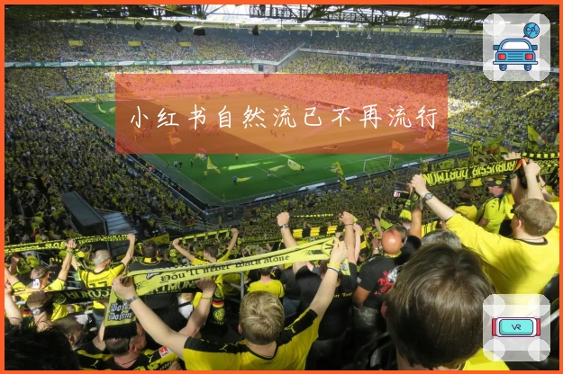 小红书自然流已不再流行