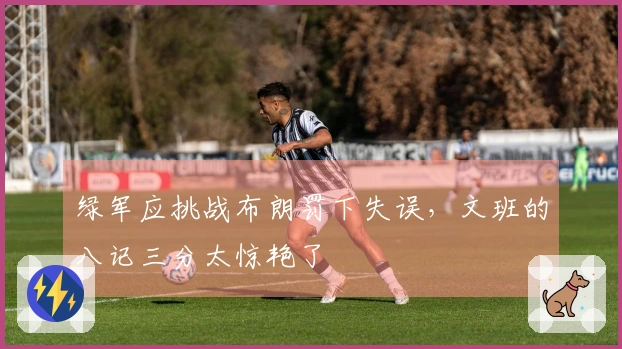 绿军应挑战布朗罚下失误，文班的八记三分太惊艳了