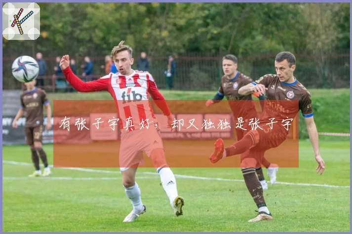 有张子宇真好，却又独独是张子宇