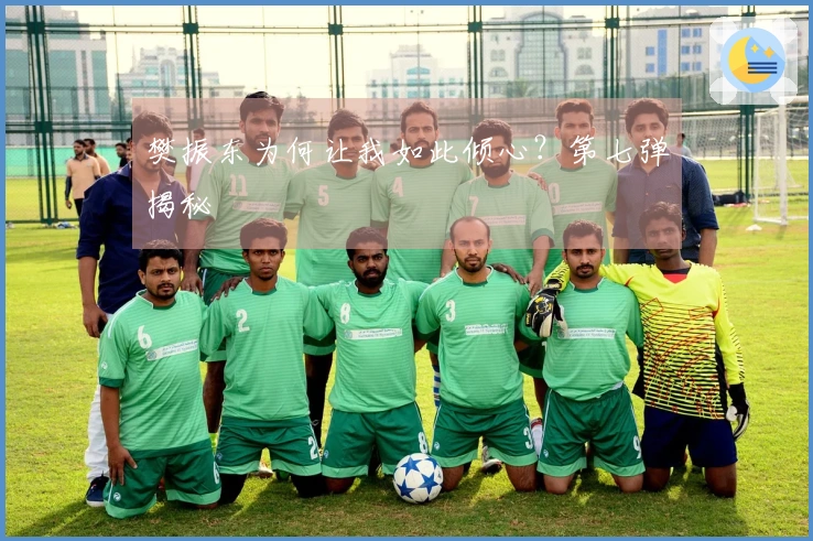 樊振东为何让我如此倾心？第七弹揭秘