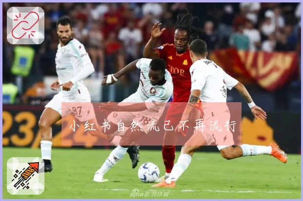 小红书自然流已不再流行